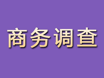 昌邑市商务调查